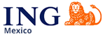 ING Mexico logo
